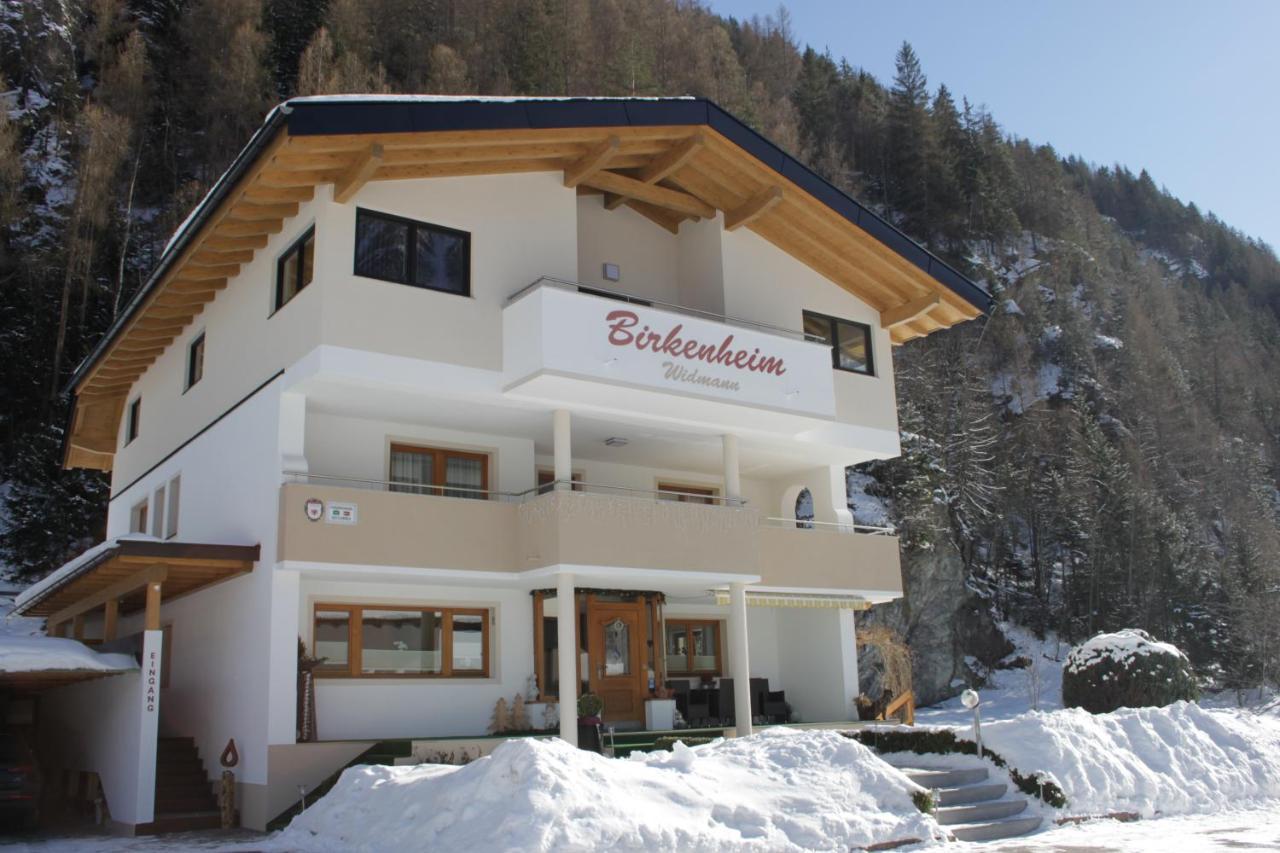 Birkenheim Widmann酒店 朗根费尔德 外观 照片